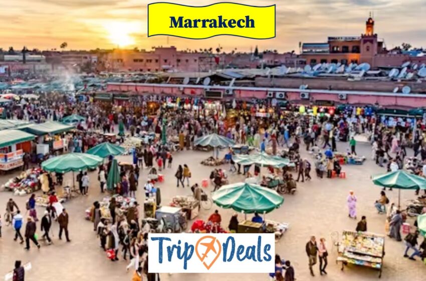  Malpensa-Marrakech a soli 39€ a/r: Il tuo sogno esotico è a portata di volo!