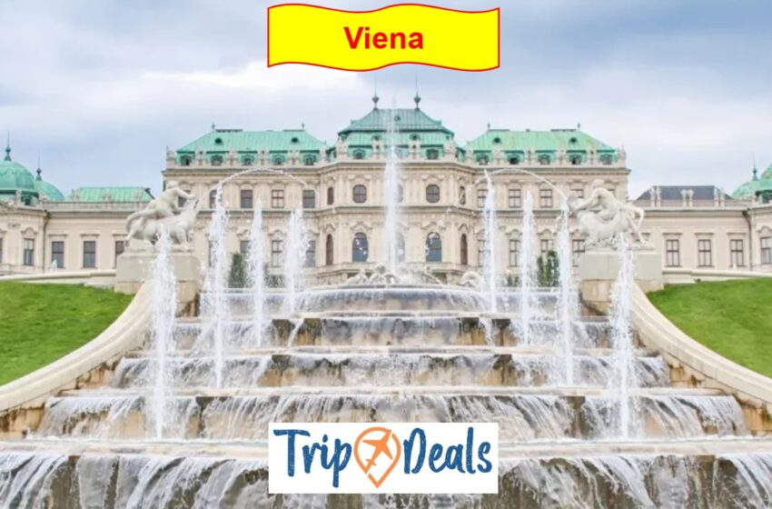  Scopri Vienna in inverno! Voli andata e ritorno con Wizzair e Ryanair a partire da 42 Euro!