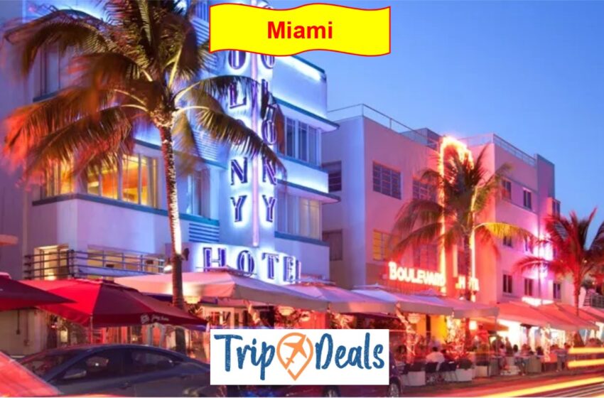  Fuga al Sole di Miami: Prenota Ora il Tuo Volo da 503 Euro A/R!